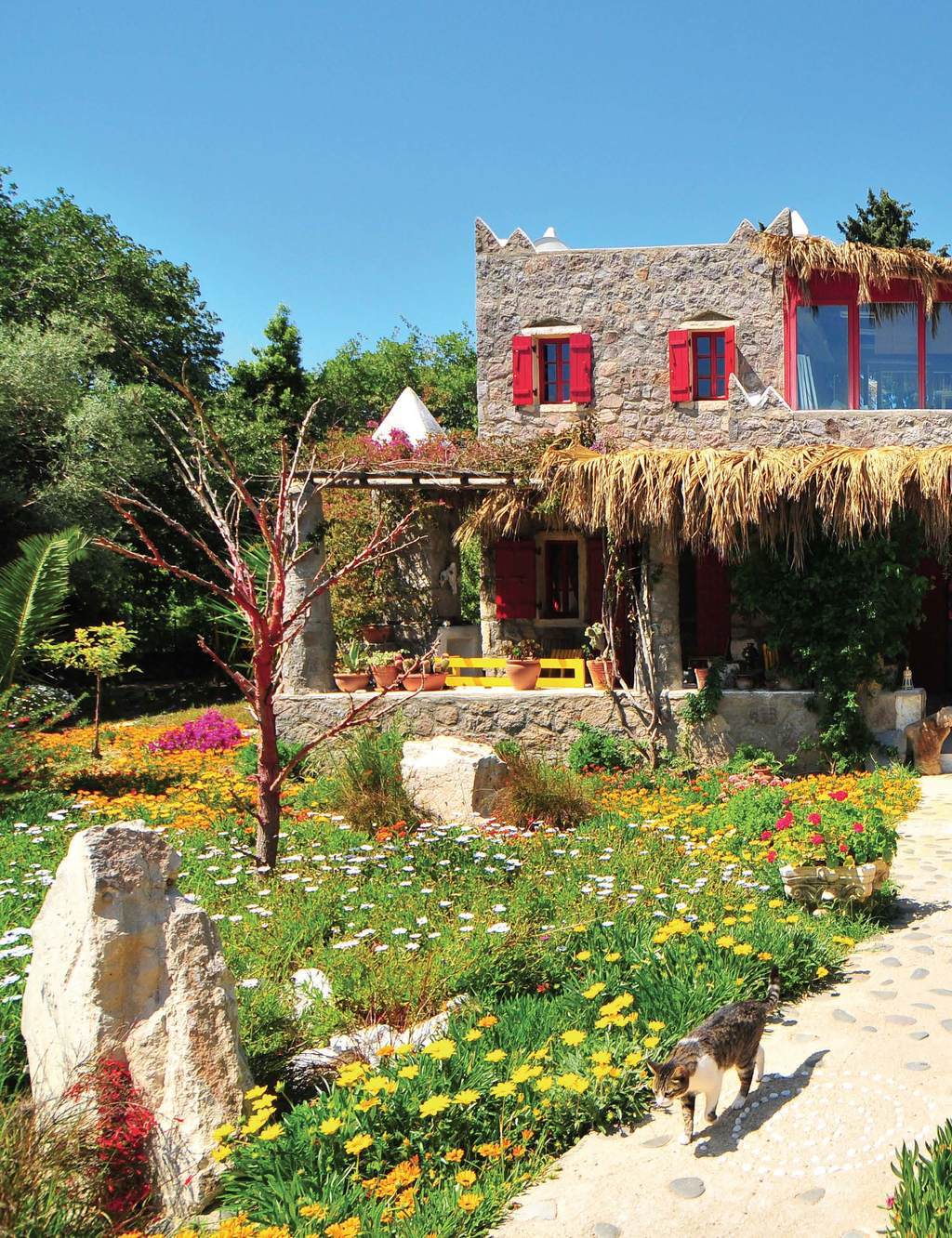 Rengarenk evin öyküsü..