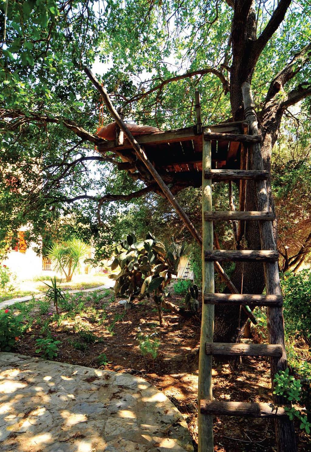 Rengarenk evin öyküsü..