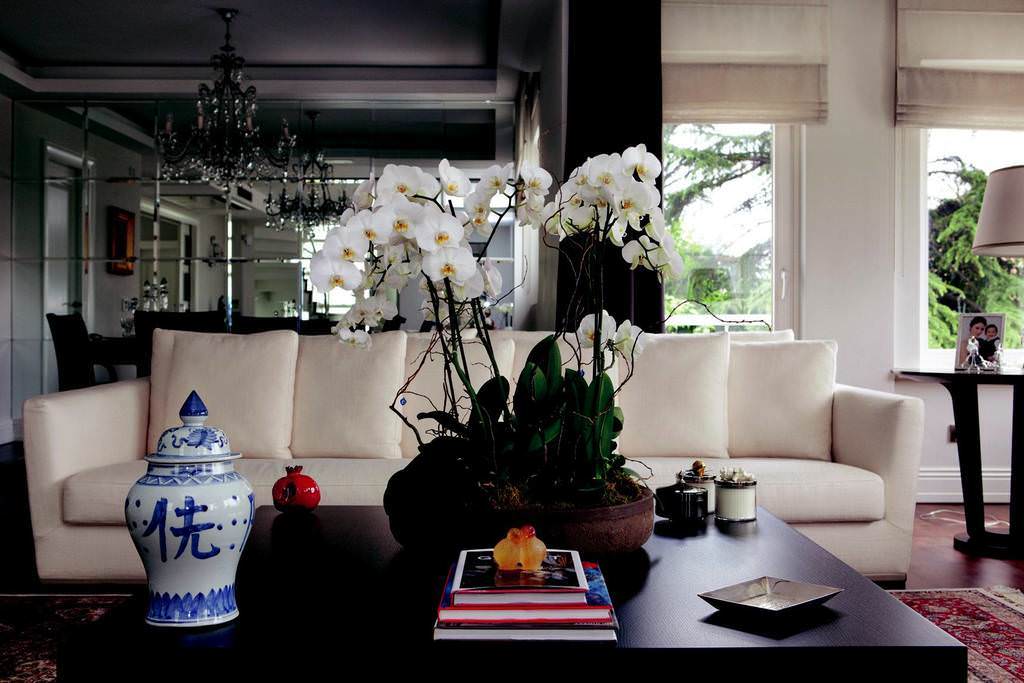 Demet Şener Kutluay'ın evi