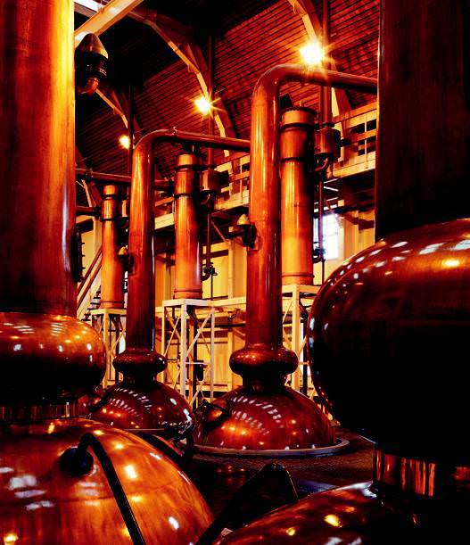 İskoçya'nın ruhu bu şişede