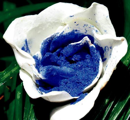 Serin okyanus renklerinden ilham alın