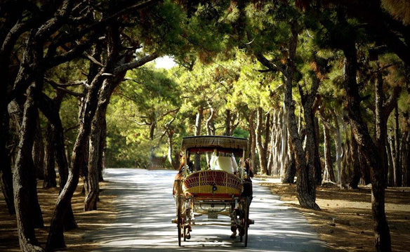 Piknik yapılacak 8 harika yer