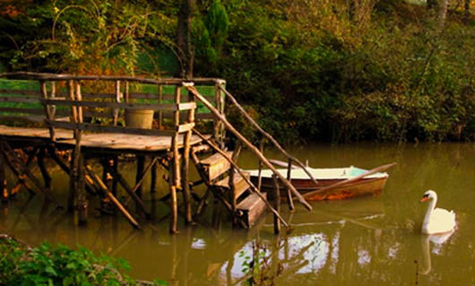 Piknik yapılacak 8 harika yer