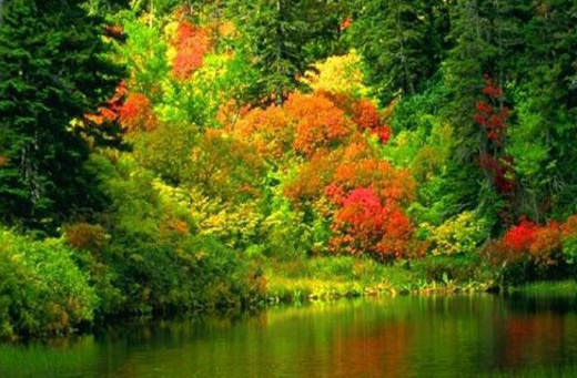 Piknik yapılacak 8 harika yer