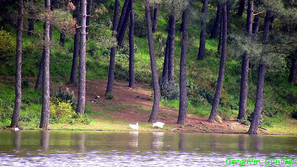 Piknik yapılacak 8 harika yer