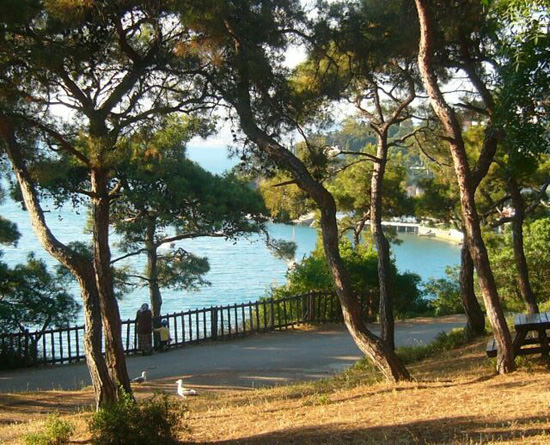 Piknik yapılacak 8 harika yer