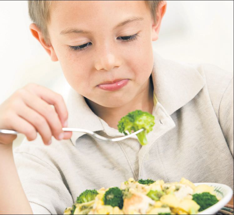 Yazın neden iştahsız olurlar