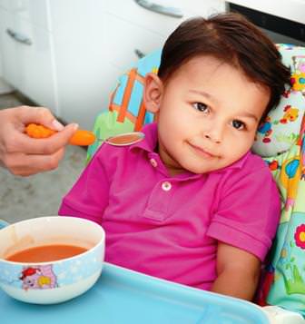 Yazın neden iştahsız olurlar