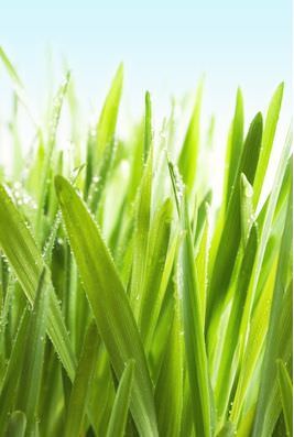 Rengini seç psikolojine yön ver!