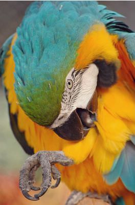 Rengini seç psikolojine yön ver!