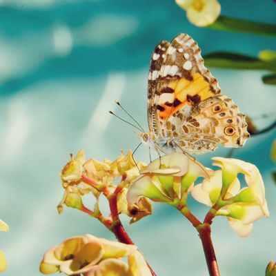 Rengini seç psikolojine yön ver!