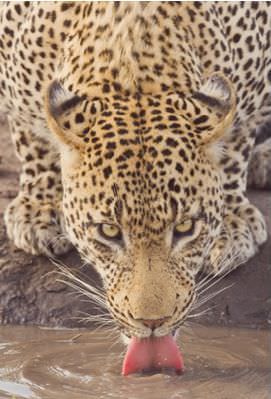 Rengini seç psikolojine yön ver!