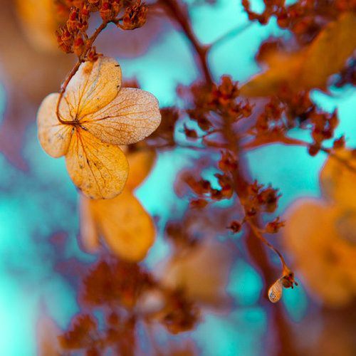 Rengini seç psikolojine yön ver!