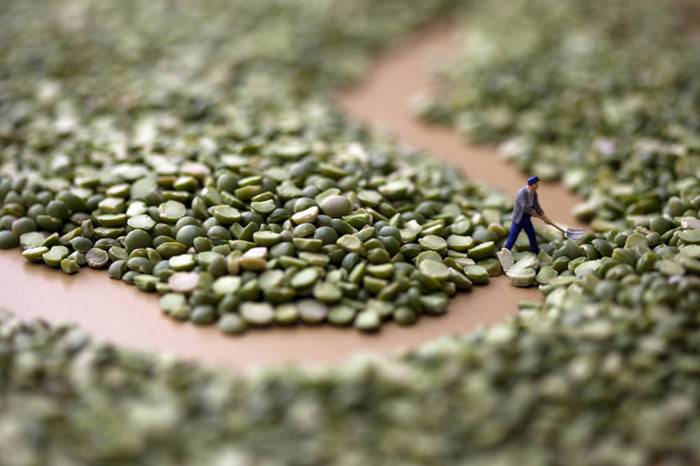 Küçük adamlar yiyecek dünyasında