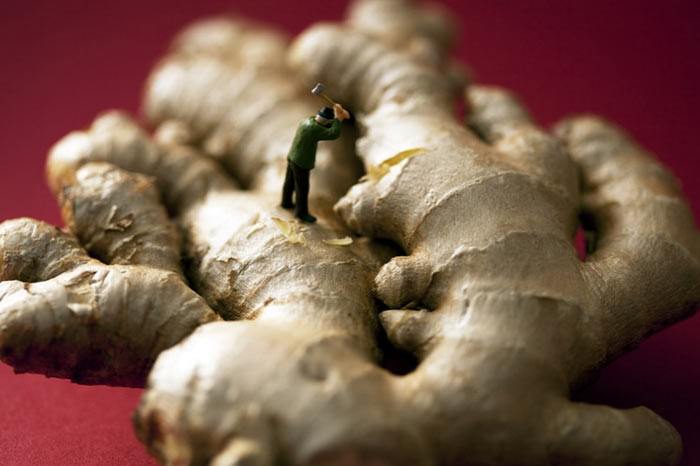 Küçük adamlar yiyecek dünyasında