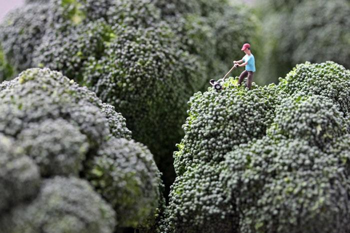 Küçük adamlar yiyecek dünyasında