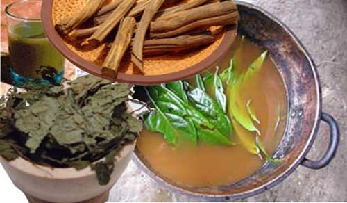 Ayahuasca çayının sırrı