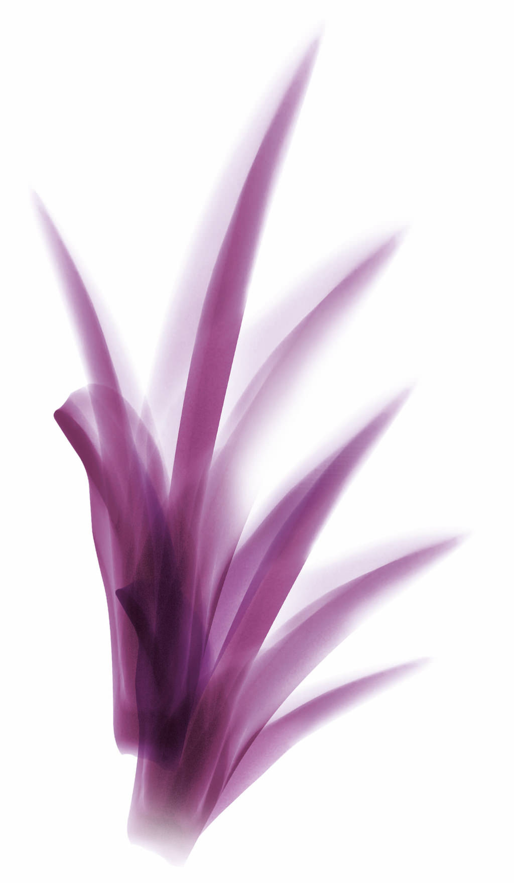 Matrix Biolage ailesiyle tanışma zamanı!