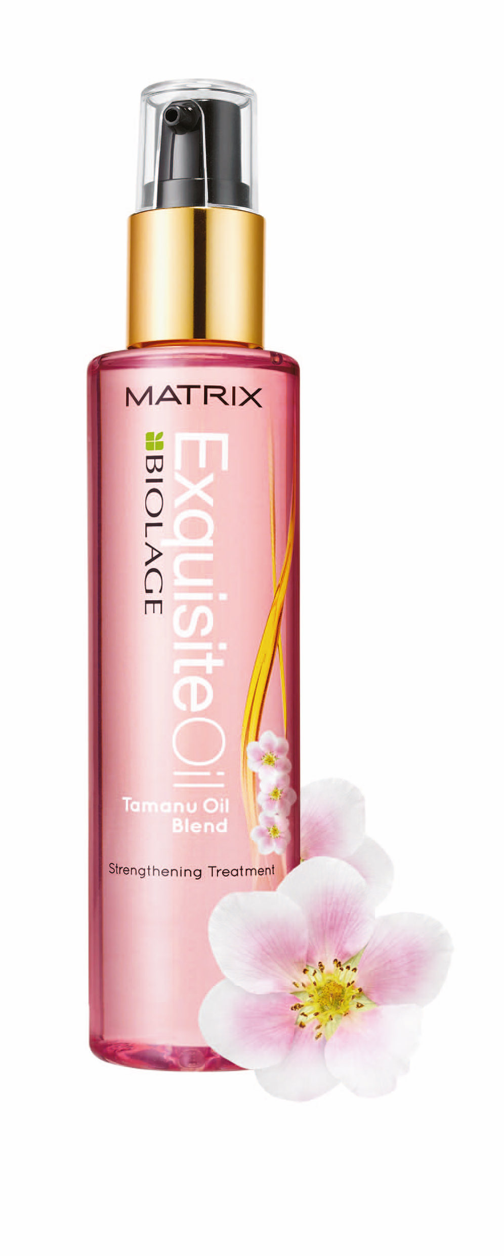 Matrix Biolage ailesiyle tanışma zamanı!