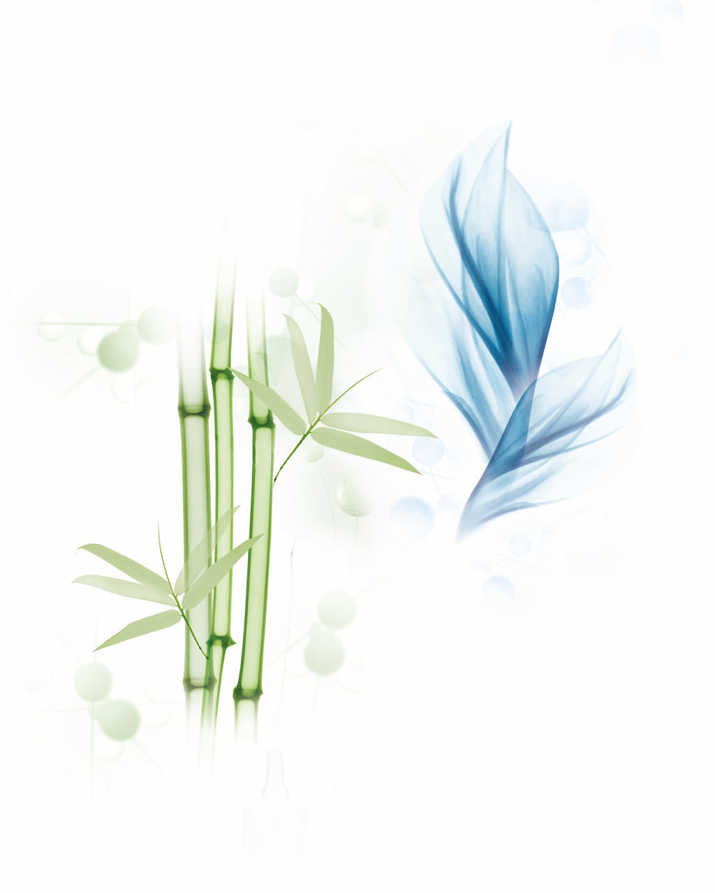 Matrix Biolage ailesiyle tanışma zamanı!