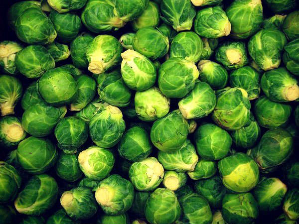 Yağ yakmaya yardımcı olan besinler