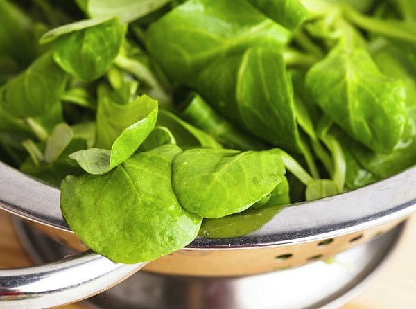 Yağ yakmaya yardımcı olan besinler