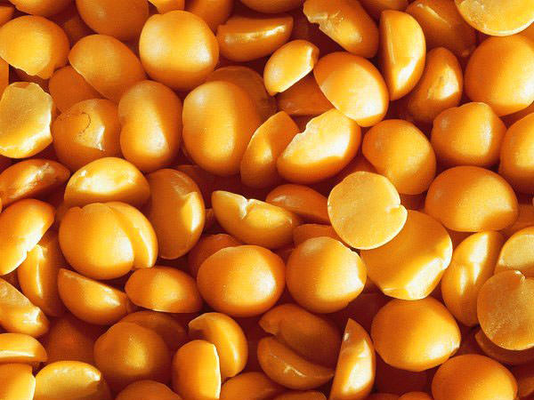 Yağ yakmaya yardımcı olan besinler