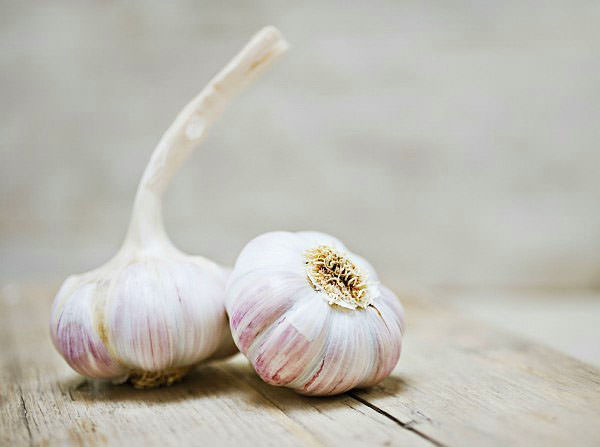 Yağ yakmaya yardımcı olan besinler