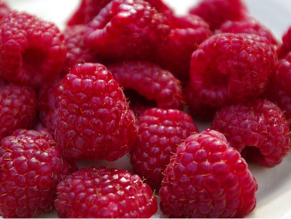 Yağ yakmaya yardımcı olan besinler