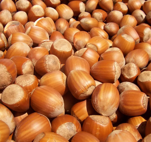 Uzun süre tok tutan 12 yiyecek