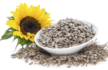 Cildi gençleştiren yiyecekler