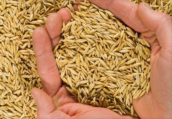 Aslında sağlıklı olmayan yiyecekler