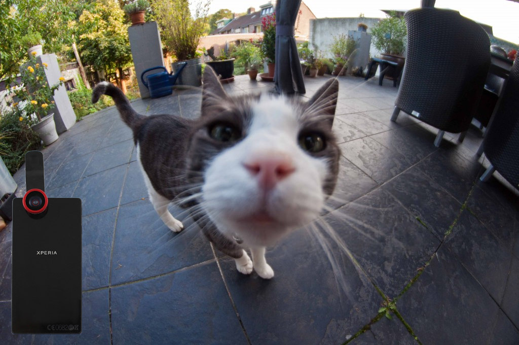 En iyi selfie fotoğrafı için 10 ipucu