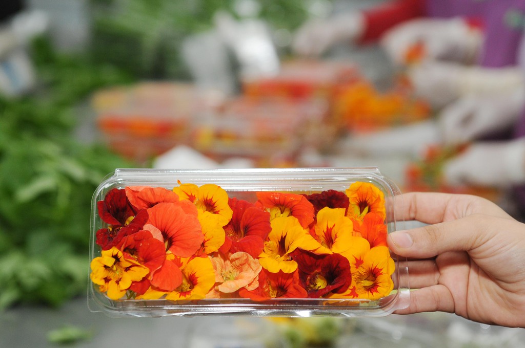 Hayatınızı kolaylaştıracak püf noktalar 