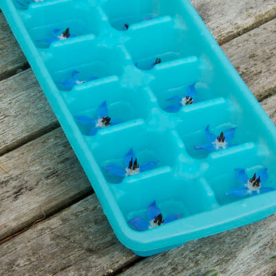 Hayatınızı kolaylaştıracak püf noktalar 