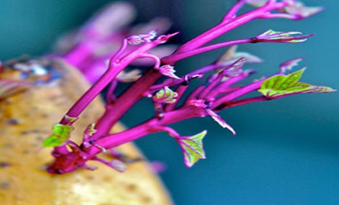 Hayatınızı kolaylaştıracak püf noktalar 