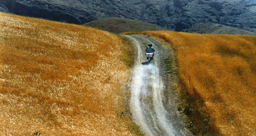 Vizyonda bu hafta hangi filmler var?