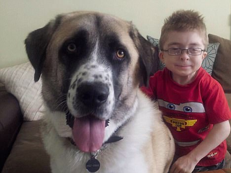 Bir çocuk ve köpeğin ilham verici gerçek hikayesi…