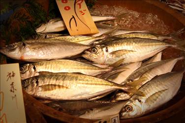 Balık pişirme teknikleri nelerdir?