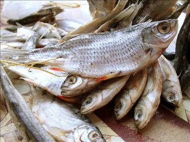 Balık pişirme teknikleri nelerdir?