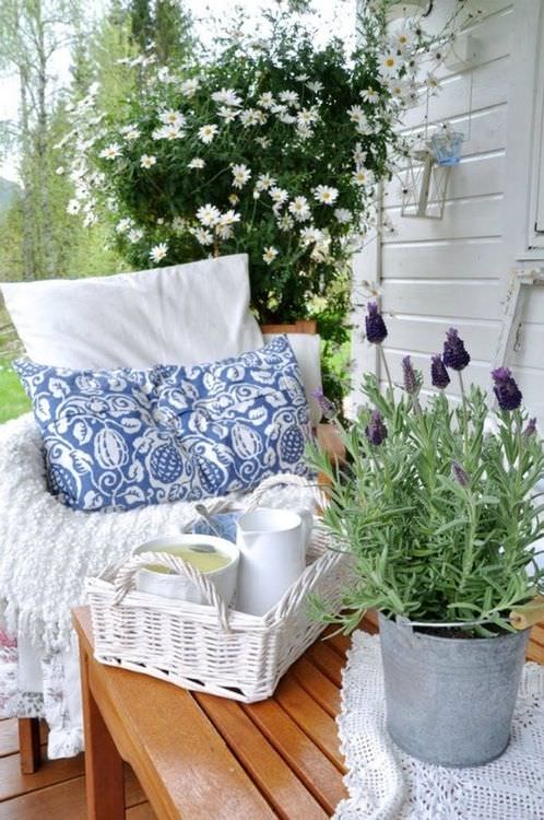 En güzel balkon çiçekleri