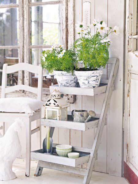 En güzel balkon çiçekleri