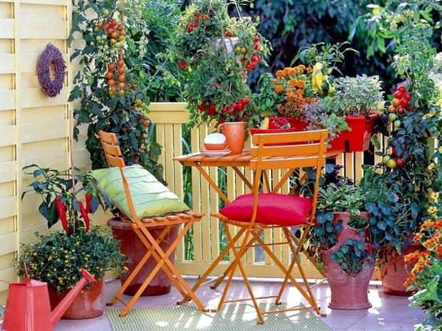 En güzel balkon çiçekleri