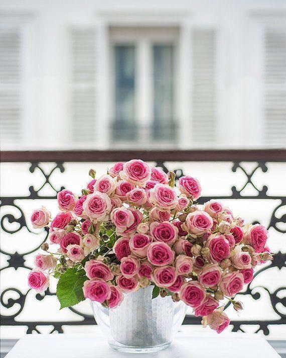 En güzel balkon çiçekleri
