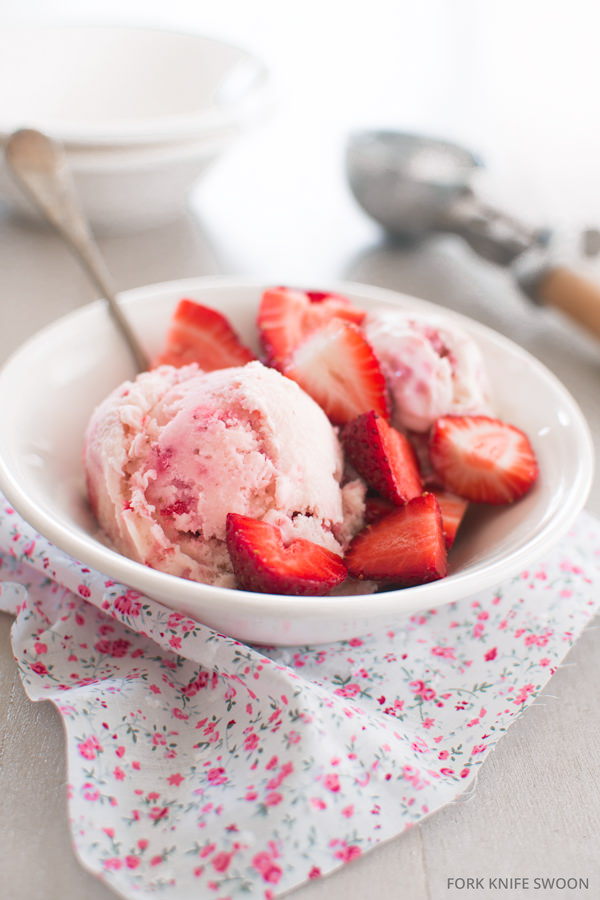 Ev yapımı dondurma tarifleri