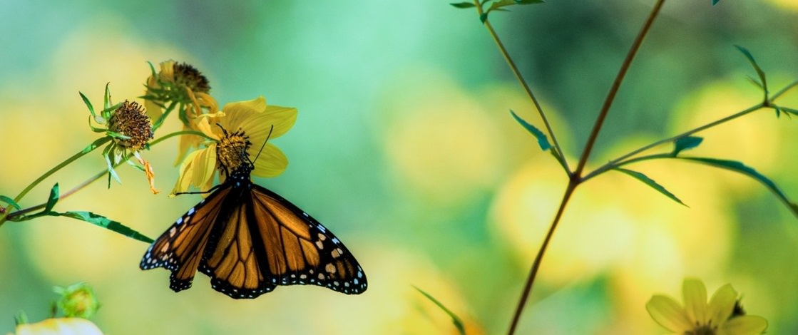 İstanbul’da çocuklarla gezilecek yerler