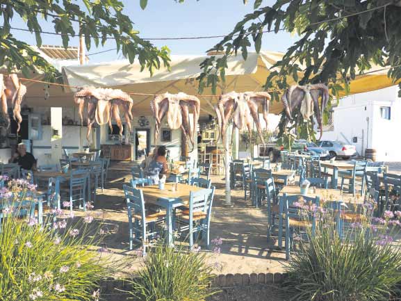 Hangi adaya gitmek istersiniz?