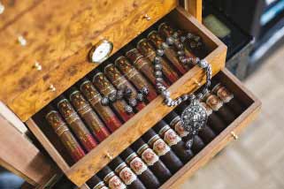 Siren Ertan ile Fashionable Life