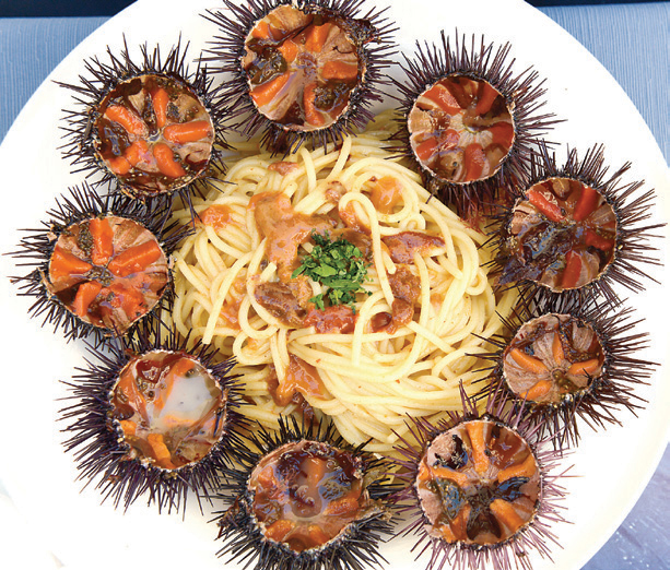 İtalya'nın son gözdesi Puglia