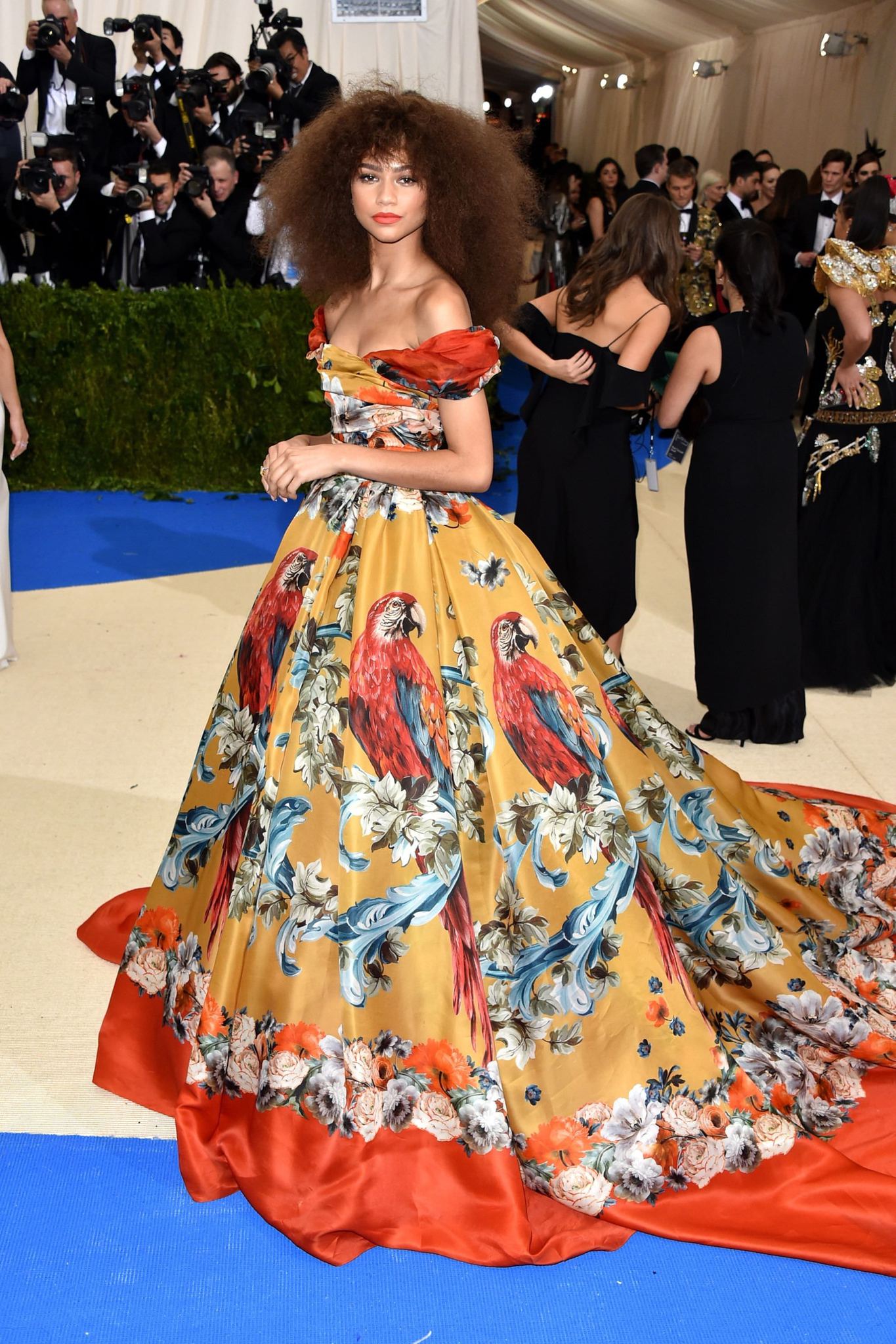 Met Gala, 2017 / Kırmızı Halı